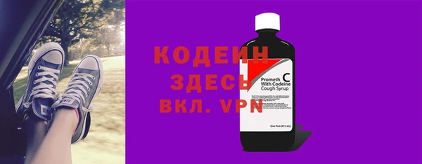 хмурый Алексин
