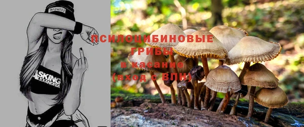 СК Аркадак