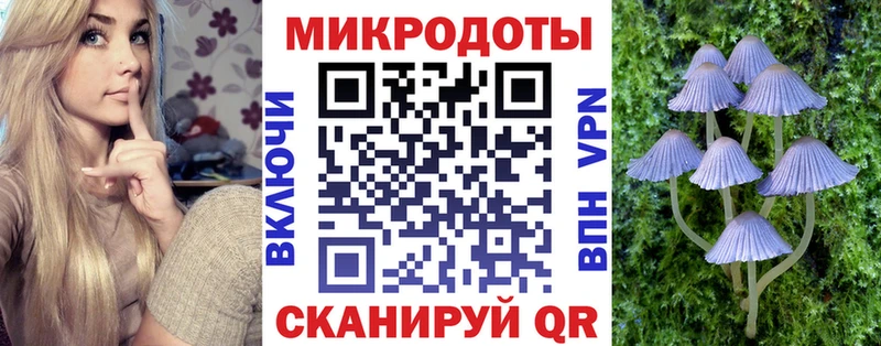 Галлюциногенные грибы Psilocybe  где найти наркотики  Переславль-Залесский 